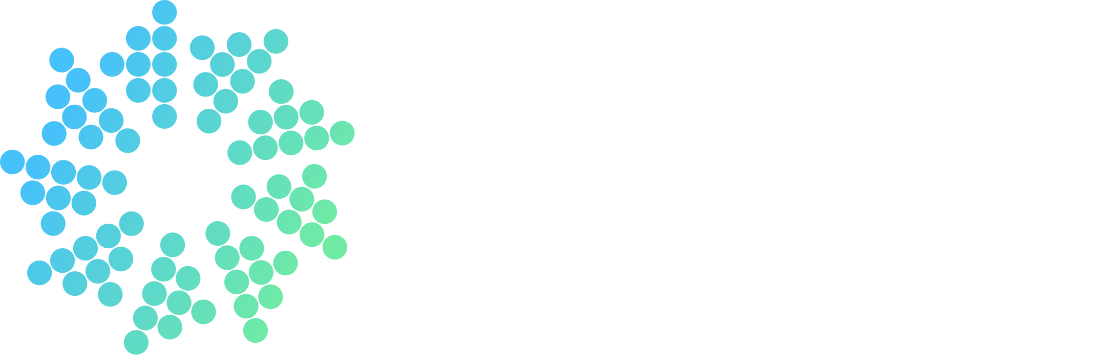 NineFive